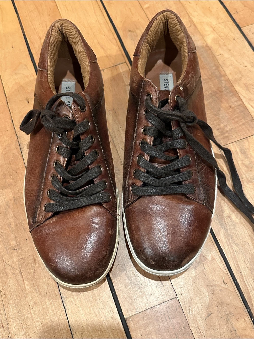 Steve Madden Brown Leather Low-Top Sneakers with Laces